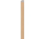 Abschlussleiste Linerio L-Line Natural rechts VOX